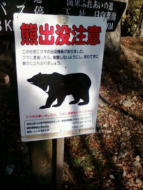 「熊注意」の看板