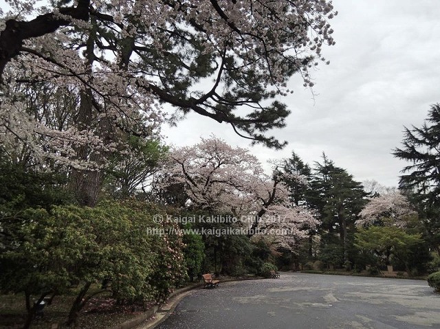 東京都庭園美術館
