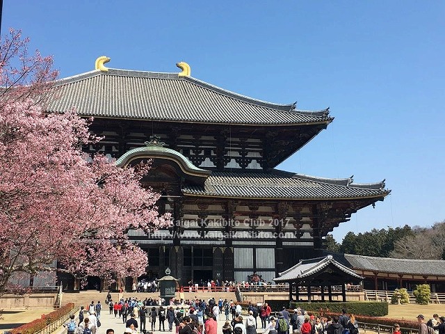 東大寺