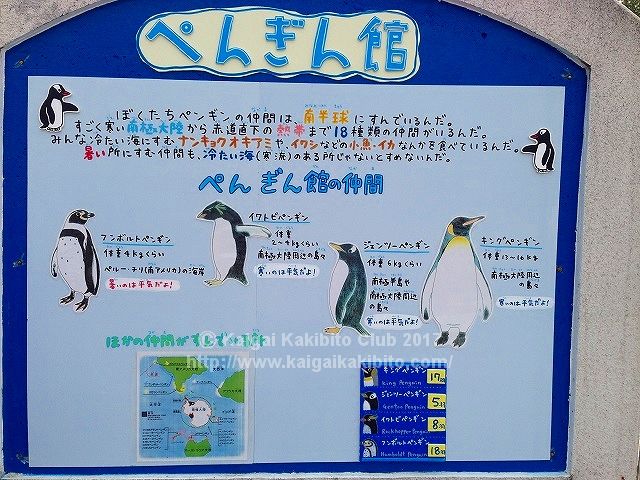旭山動物園