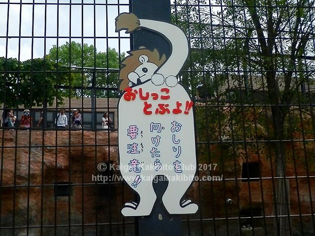旭山動物園