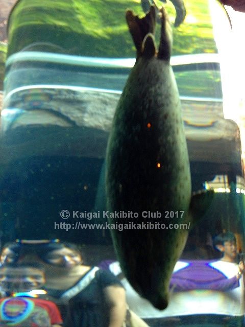 旭山動物園