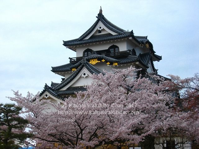 彦根城