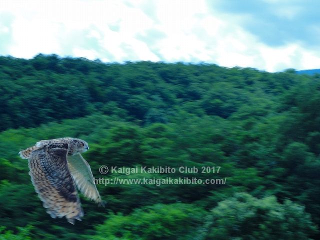 那須どうぶつ王国