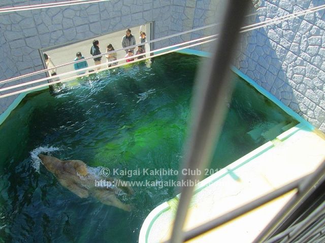 日本平動物園