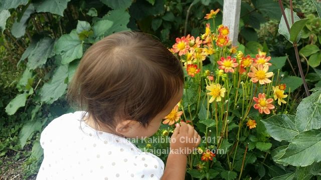 ワシントンパーク植物園