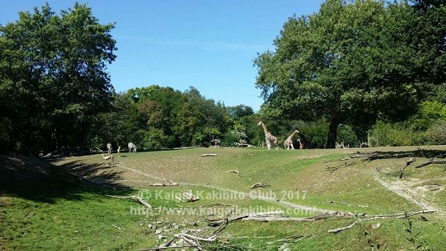 ウッドランドパーク動物園