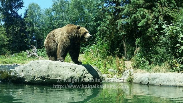 ウッドランドパーク動物園