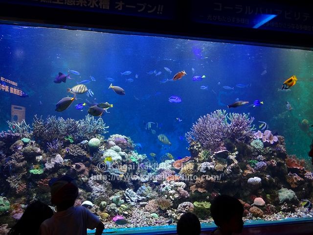 須磨海浜水族園