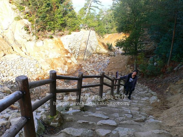 宮島登山道