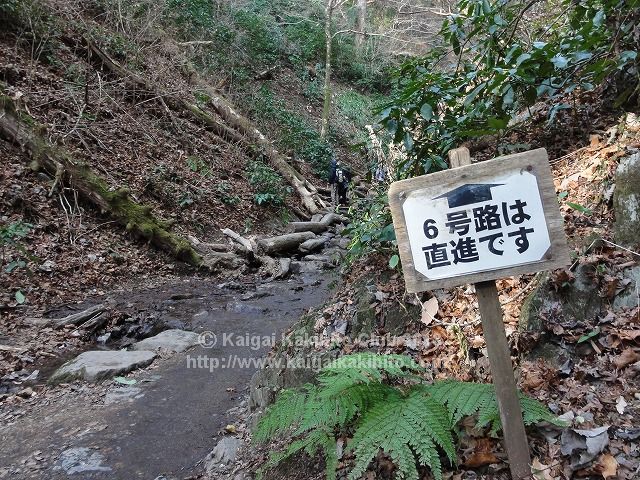 高尾山6号路