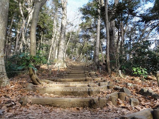 高尾山6号路の階段