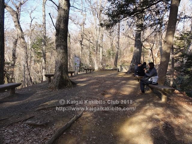 高尾山6号路の休憩ベンチ