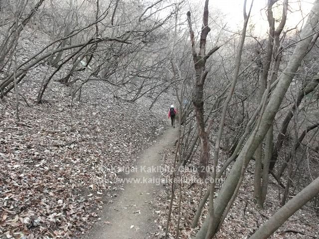 陣馬山新登山道の獣道
