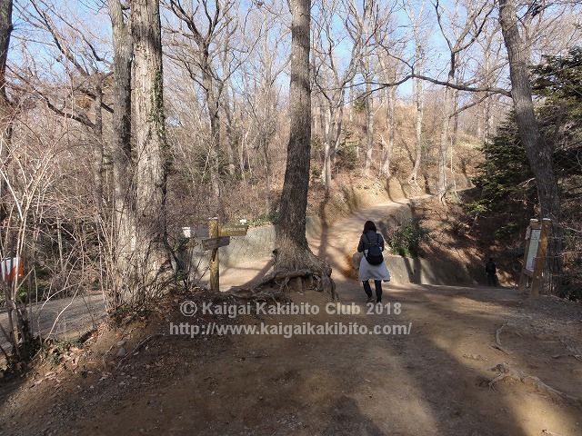 高尾山6号路の分岐点