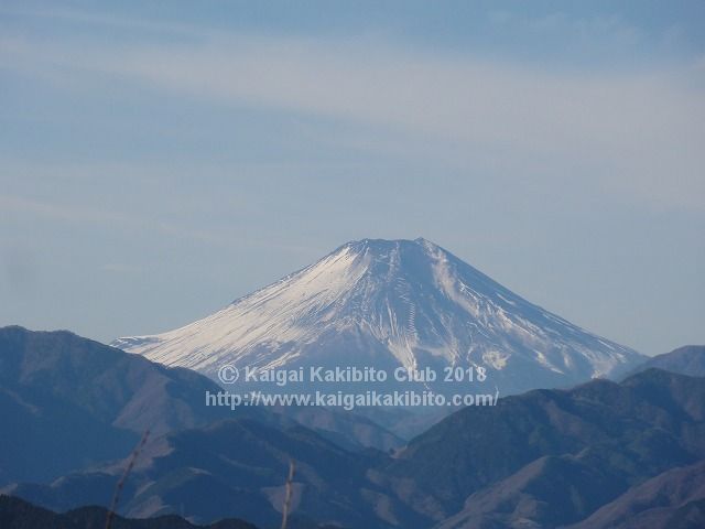高尾山頂からの富士山