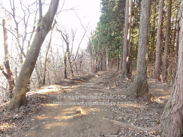 陣馬山から景信山への山道