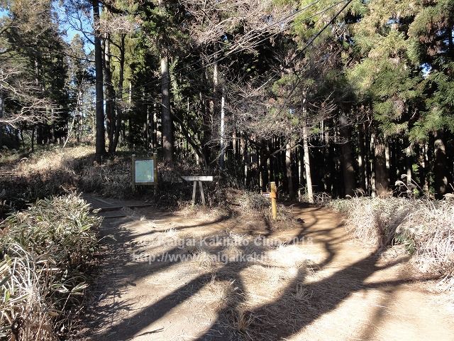 別れ道