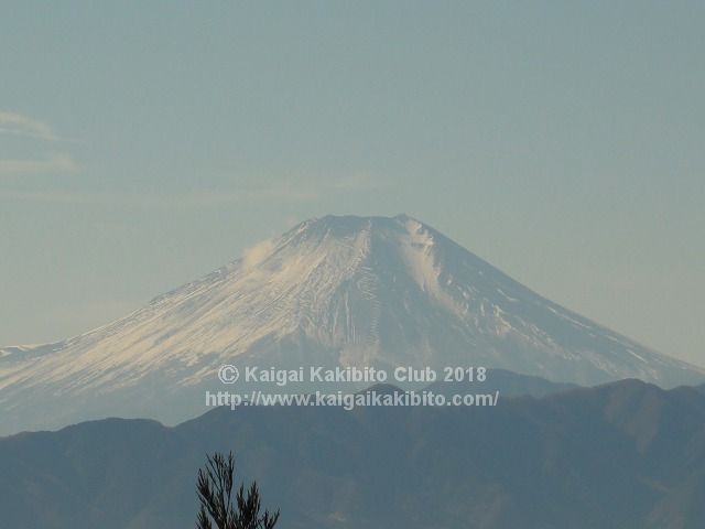 景信山から見る富士山