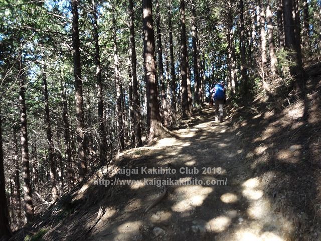 小仏城山から景信山への急坂
