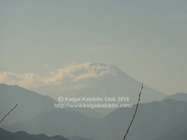高尾山山頂からの富士山