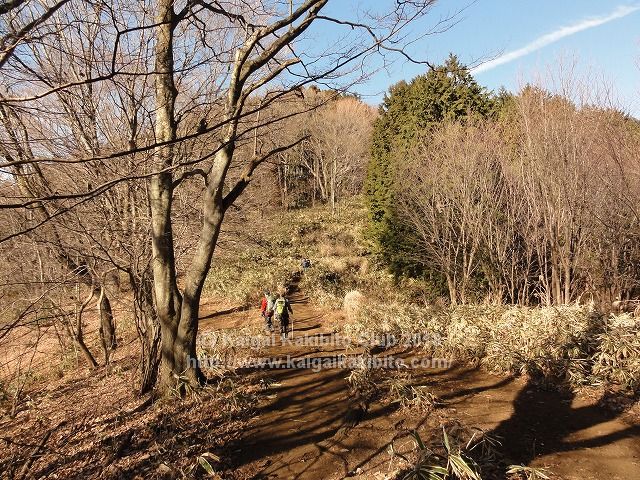 景信山から陣馬山への道