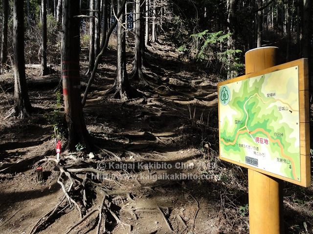 堂所山の巻き道
