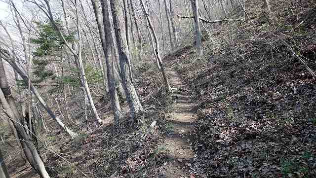 御前山への登山道