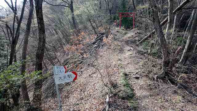御前山への登山道