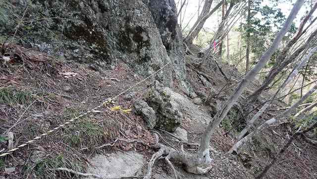 御前山への登山道