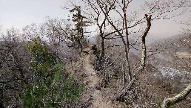菊花山山頂からの眺め