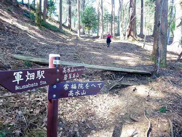 高水山登山道