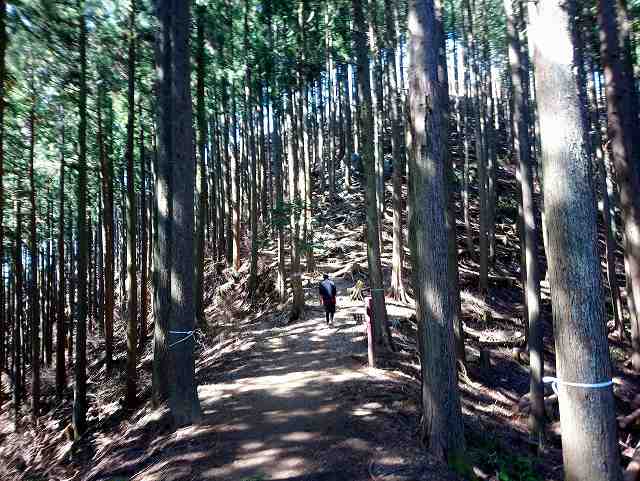 岩茸石山への登山道