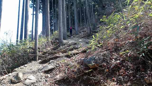 惣岳山への登山道