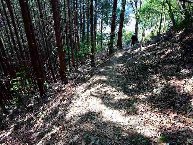 惣岳山からの下山道