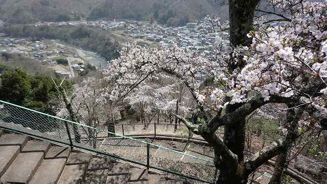 岩殿山登山道