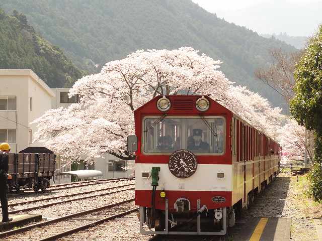南アルプスあぷとライン（大井川鉄道井川線）