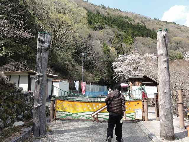 寸又峡「夢の吊り橋」への道