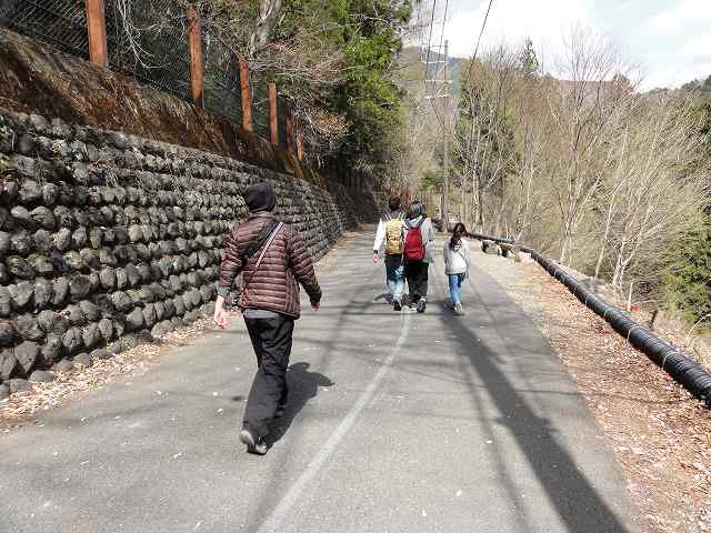 寸又峡「夢の吊り橋」への道