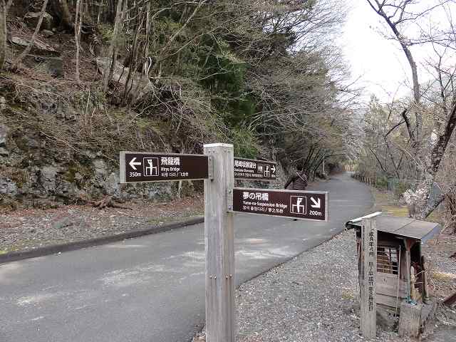 寸又峡「夢の吊り橋」の先。寸又峡プロムナードコースの分岐点