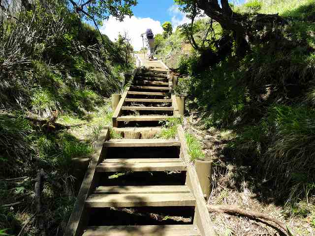丹沢表尾根縦走ルートの烏尾山手前の階段