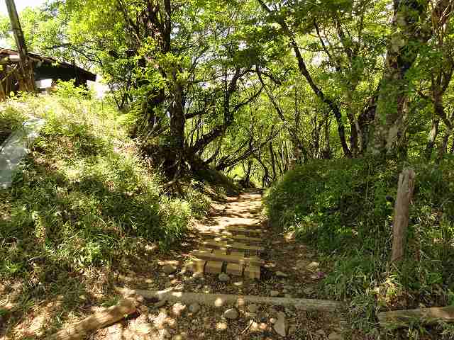 丹沢表尾根縦走ルートの新大日茶屋の先