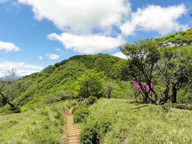 丹沢表尾根縦走ルート。塔ノ岳の手前
