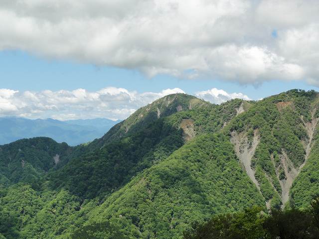 塔ノ岳山頂から眺める丹沢山方面