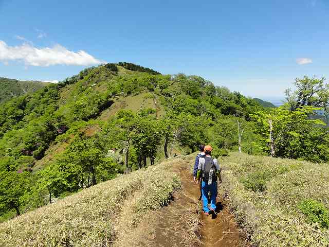 塔ノ岳から丹沢山への尾根筋
