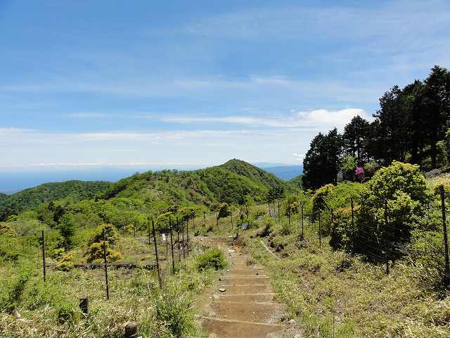 塔ノ岳から丹沢山への尾根筋から見る塔ノ岳