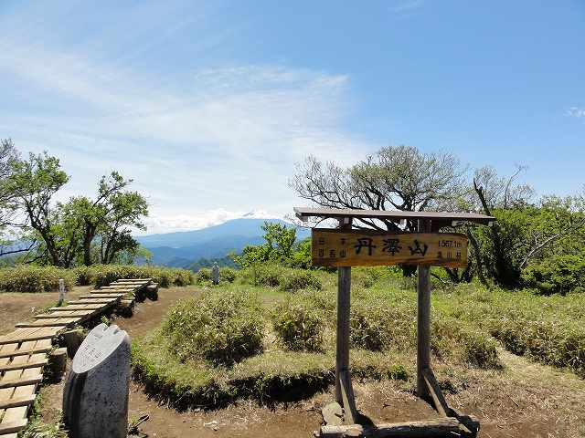丹沢山山頂から眺める富士山