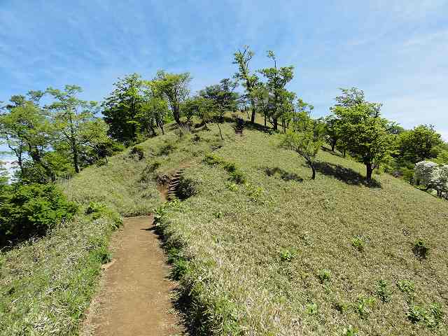 丹沢山から塔ノ岳までのルート