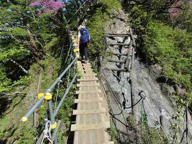大倉尾根の途中にかけられた橋
