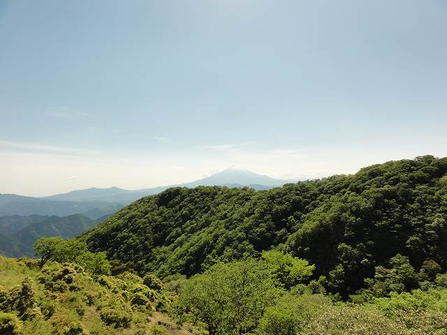 大倉尾根から富士山